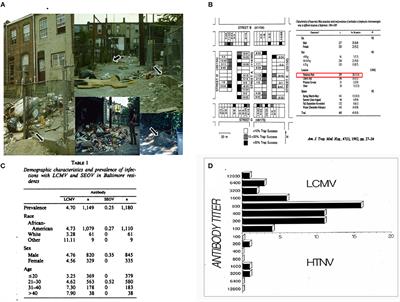 A Case Study of Two Rodent-Borne Viruses: Not Always the Same Old Suspects